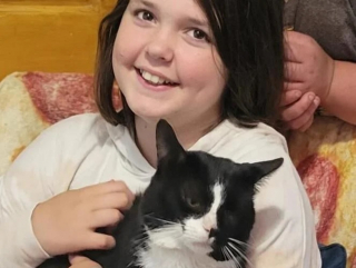 Illustration de l'article : Des bénévoles se donnent pour mission de ramener un chat disparu 2 ans plus tôt à sa famille se trouvant à 1000 km