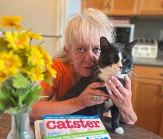 Illustration de l'article : Des bénévoles se donnent pour mission de ramener un chat disparu 2 ans plus tôt à sa famille se trouvant à 1000 km