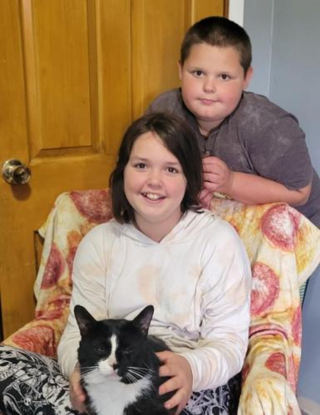 Illustration de l'article : Des bénévoles se donnent pour mission de ramener un chat disparu 2 ans plus tôt à sa famille se trouvant à 1000 km