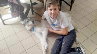 Illustration de l'article : Maltraité dans le passé, un chien de refuge peine à trouver une famille à cause de sa maladie