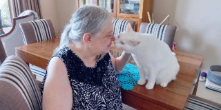 Illustration de l'article : Les adieux émouvants d'un chat à sa maîtresse qui aura soutenu la cause animale jusqu'au bout