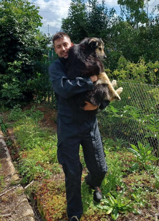Illustration de l'article : Une chienne disparaît lors des vacances de sa maîtresse et donne lieu à 48 heures d'angoisse