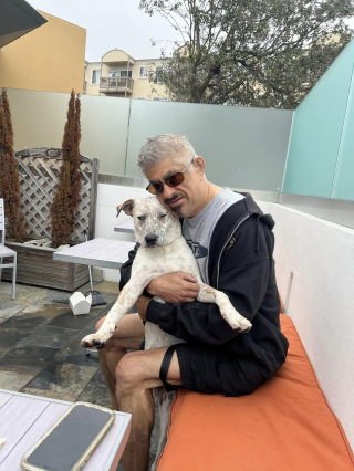 Illustration de l'article : Atteint de surdité, un chien de refuge fait la rencontre d'un homme souffrant du même handicap que lui (vidéo)