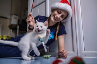 Illustration de l'article : Un éboueur découvre un chaton de 2 jours jetés parmi les ordures et change son destin
