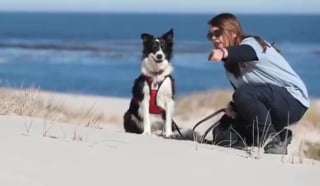 Illustration de l'article : Comment le flair d'une chienne a permis de retrouver une espèce animale invisible depuis 90 ans