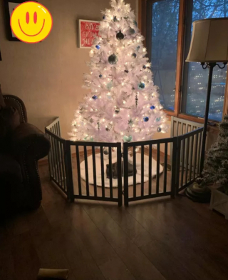 Illustration de l'article : 14 photos de chats qui ont fait regretter à leurs propriétaires d'avoir ressorti le sapin de Noël
