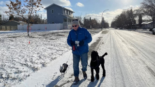 Illustration de l'article : Des bénévoles promènent les chiens des personnes à mobilité réduite pour leur permettre de rester ensemble
