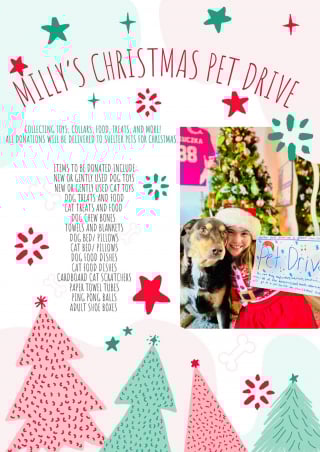 Illustration de l'article : Une fillette de 9 ans rend hommage à sa chienne décédée en offrant un Noël mémorable aux animaux d'un refuge