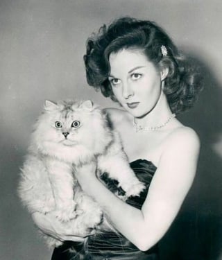 Illustration de l'article : 20 photos anciennes de chats, prenant la pose avec des personnages célèbres ou non