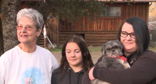 Illustration de l'article : Le désarroi d'une famille en camping dont la chienne séniore a disparu dans la nature à cause d'un feu d'artifice