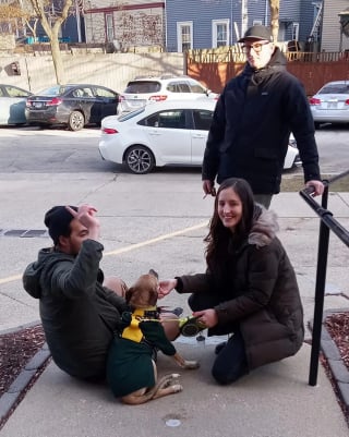 Illustration de l'article : La famille d'un chien s'étant échappé lors d'une promenade s'en remet au pouvoir des réseaux sociaux
