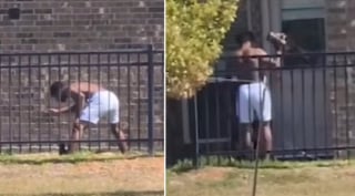 Illustration de l'article : Un jeune Malinois battu à coups d'haltère et de pied entrevoit la fin du cauchemar grâce à un témoin