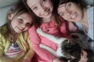 Illustration de l'article : Elle récupère un chat errant sans se douter que sa famille le cherchait depuis 5 ans