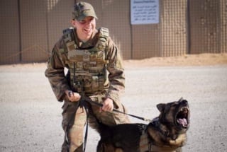 Illustration de l'article : Zorro le chien militaire à la retraite retrouve son ancienne maîtresse et commence une nouvelle vie