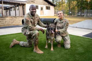 Illustration de l'article : Zorro le chien militaire à la retraite retrouve son ancienne maîtresse et commence une nouvelle vie