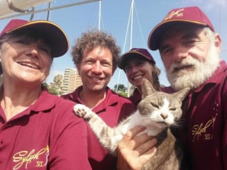 Illustration de l'article : Ce chat s'apprête à entrer dans l'histoire des courses nautiques en prenant part à une célèbre régate de 1200 km