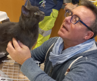 Illustration de l'article : La découverte d'un chat "errant" sur une aire d'autoroute se transforme en scénario digne d'un conte de Noël
