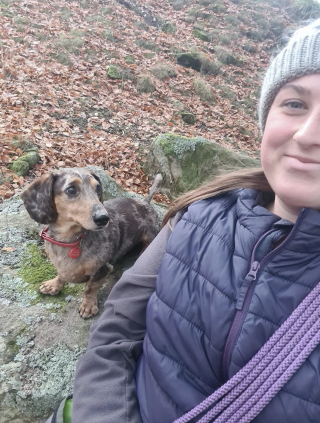 Illustration de l'article : Course contre la montre pour sauver la vie d'un chien qui a cédé à la gourmandise le lendemain de Noël
