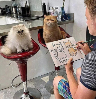 Illustration de l'article : 14 photos de chats prouvant qu'ils sont capables de balayer la morosité d'un revers de la patte