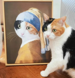 Illustration de l'article : 14 photos de chats prouvant qu'ils sont capables de balayer la morosité d'un revers de la patte
