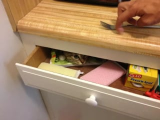 Illustration de l'article : 17 chats ayant décidé de régner sans partage sur leur nouveau royaume qu'est la cuisine