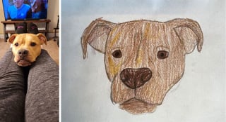 Illustration de l'article : 20 portraits d'animaux de compagnie dessinés par des bénévoles pour la bonne cause