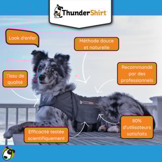 Illustration de l'article : ThunderShirt, le gilet relaxant indispensable pour apaiser les chiens en proie au stress