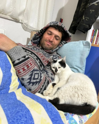 Illustration de l'article : Un chat rescapé des séismes en Turquie décide de ne plus quitter le pompier qui l'a sorti des décombres