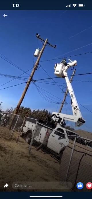 Illustration de l'article : Un chat se retrouve pris au piège en haut d’un poteau électrique, les secours interviennent