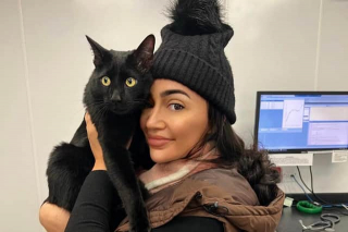 Illustration de l'article : Une caméra immortalise les retrouvailles entre une jeune femme et son chat, disparu depuis 3 mois (vidéo)