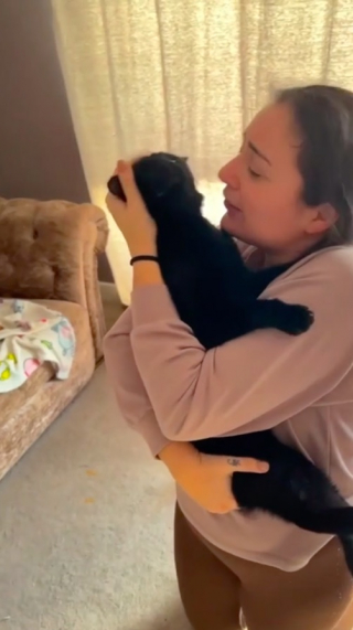 Illustration de l'article : Une caméra immortalise les retrouvailles entre une jeune femme et son chat, disparu depuis 3 mois (vidéo)