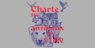 Illustration de l'article : Le nouveau « Rendez-vous de l’Animal en Ville » propose de nouvelles solutions pour une cohabitation harmonieuse entre animaux et citadins