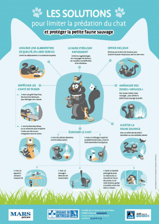 Illustration de l'article : Le nouveau « Rendez-vous de l’Animal en Ville » propose de nouvelles solutions pour une cohabitation harmonieuse entre animaux et citadins