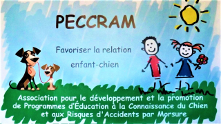 Illustration de l'article : Le nouveau « Rendez-vous de l’Animal en Ville » propose de nouvelles solutions pour une cohabitation harmonieuse entre animaux et citadins