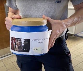 Illustration de l'article : Un chat errant s'est invité dans une caserne de pompiers 15 ans plus tôt et ne l'a plus quittée
