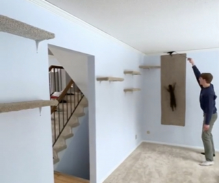Illustration de l'article : Il installe un accessoire mural tout simple pour son Savannah, et son chat s'en donne à coeur joie (vidéo)