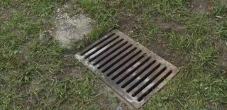 Illustration de l'article : Un chaton coincé dans un égout pluvial depuis 2 jours mobilise des habitants inquiets et déterminés à le sauver