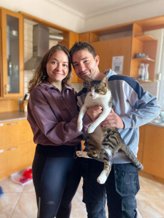 Illustration de l'article : Smokey, le chat globe-trotter qui a conquis 3 pays en 3 ans à la recherche de la famille idéale