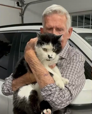 Illustration de l'article : L'étonnante résilience de Lucky, chat égaré après la terrible explosion ayant dévasté sa maison