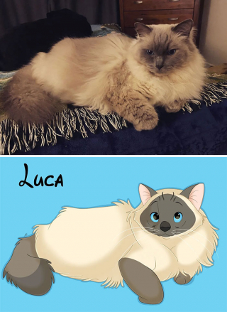 Illustration de l'article : 20 nouvelles photos d'animaux transformés en personnages Disney par Alessia Ciullo