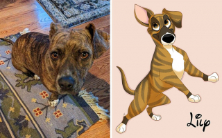 Illustration de l'article : 20 nouvelles photos d'animaux transformés en personnages Disney par Alessia Ciullo