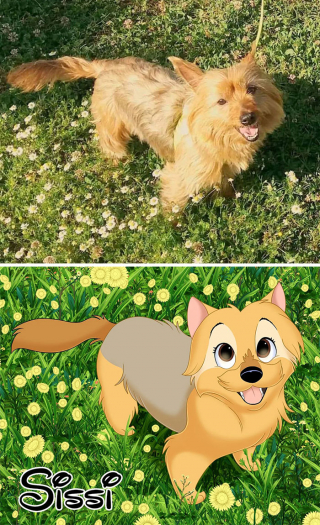Illustration de l'article : 20 nouvelles photos d'animaux transformés en personnages Disney par Alessia Ciullo
