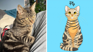 Illustration de l'article : 20 nouvelles photos d'animaux transformés en personnages Disney par Alessia Ciullo
