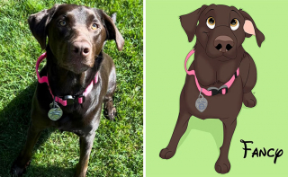 Illustration de l'article : 20 nouvelles photos d'animaux transformés en personnages Disney par Alessia Ciullo