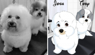 Illustration de l'article : 20 nouvelles photos d'animaux transformés en personnages Disney par Alessia Ciullo