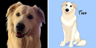 Illustration de l'article : 20 nouvelles photos d'animaux transformés en personnages Disney par Alessia Ciullo