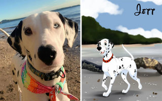 Illustration de l'article : 20 nouvelles photos d'animaux transformés en personnages Disney par Alessia Ciullo