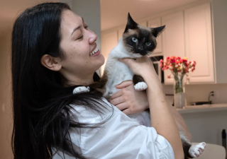Illustration de l'article : Au bout de 2 ans, la mystérieuse disparition d'un chat connaît un dénouement inespéré
