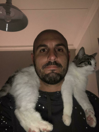 Illustration de l'article : 20 photos de chats au comportement insolite qui nous plongent dans leur univers décalé