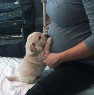 Illustration de l'article : 17 photos prouvant que les chiens incarnent l'amour avec un grand A